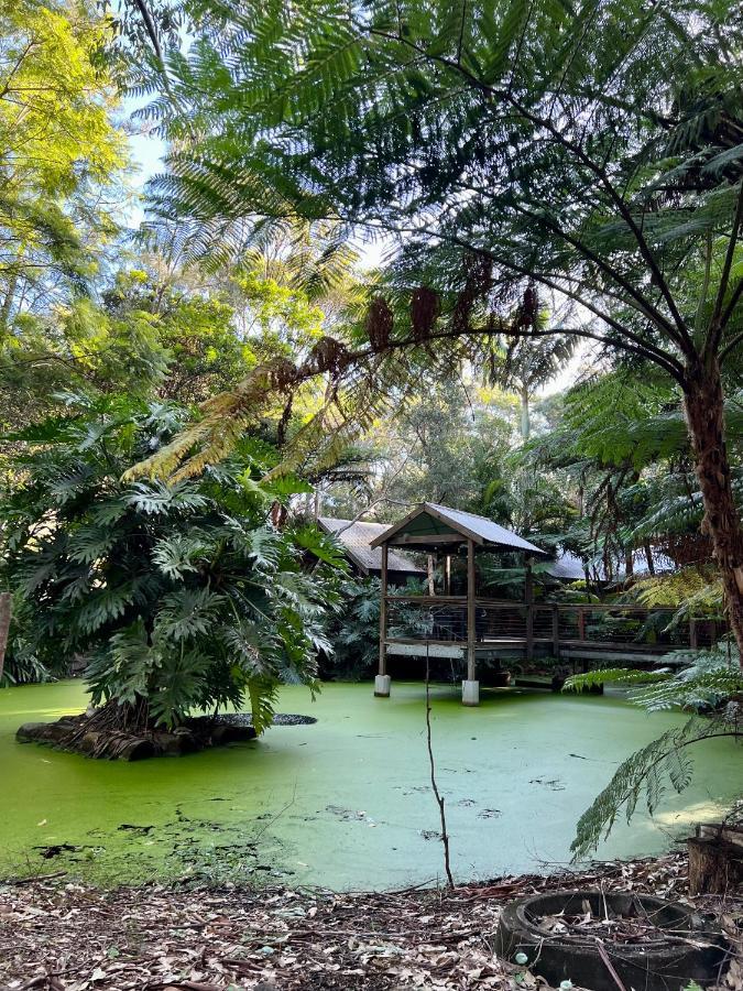 The Oasis At One Mile Beach Nelson Bay Esterno foto